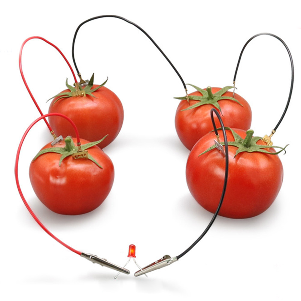 3Sets Fruit Battery Science Ex - Renewable Energy For Kids のレビューと価格