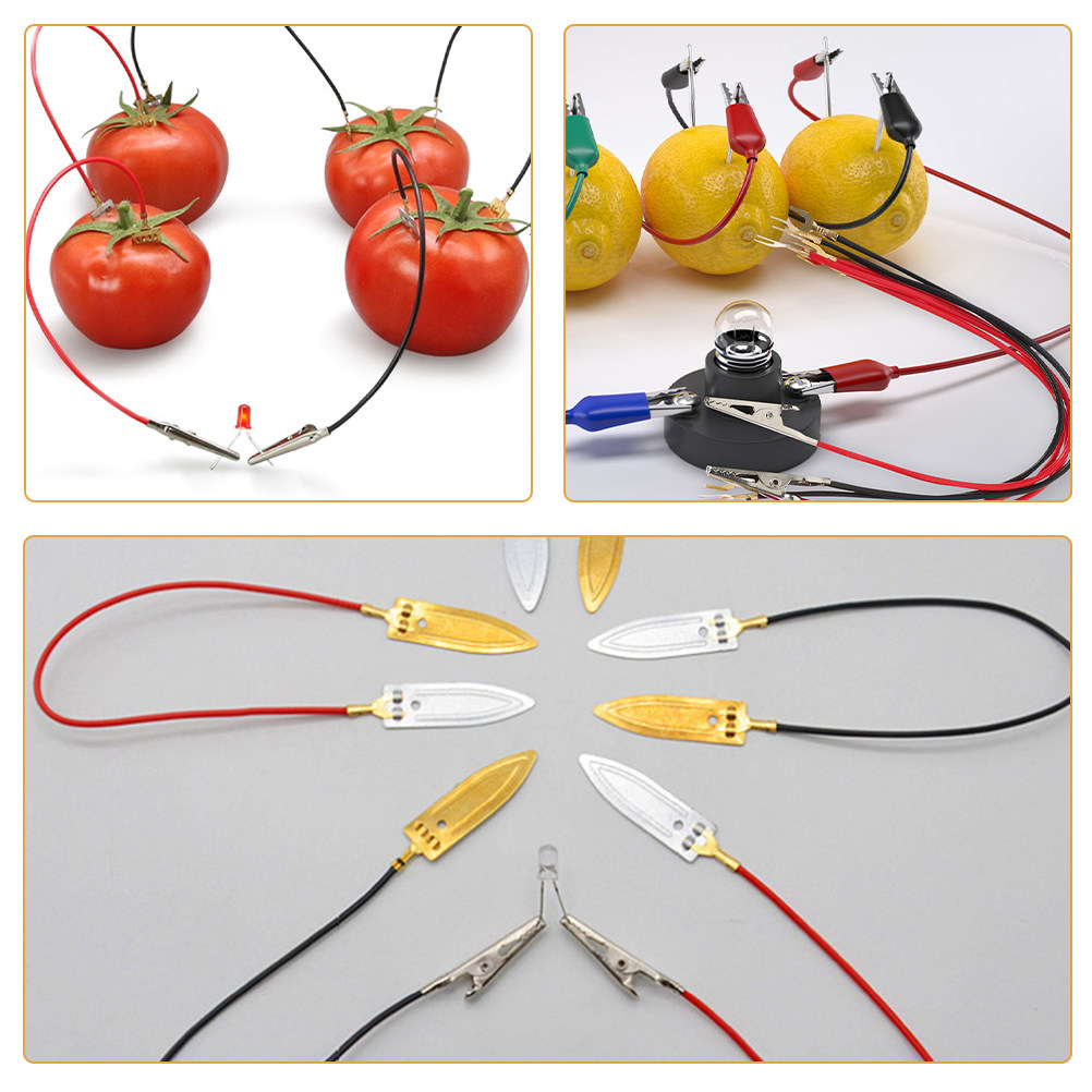 3Sets Fruit Battery Science Ex - Renewable Energy For Kids のレビューと価格